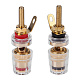 1-678G-42  BANANA "" 42.3   /  ,   