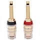 1-678G-66  BANANA "" 66.5   /  ,   